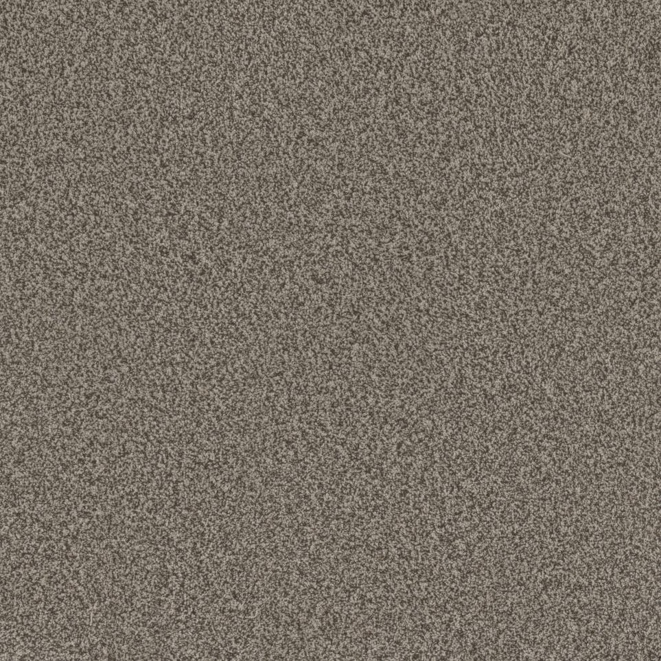Textured Saxony Soft Sound Beige/Tan Carpet