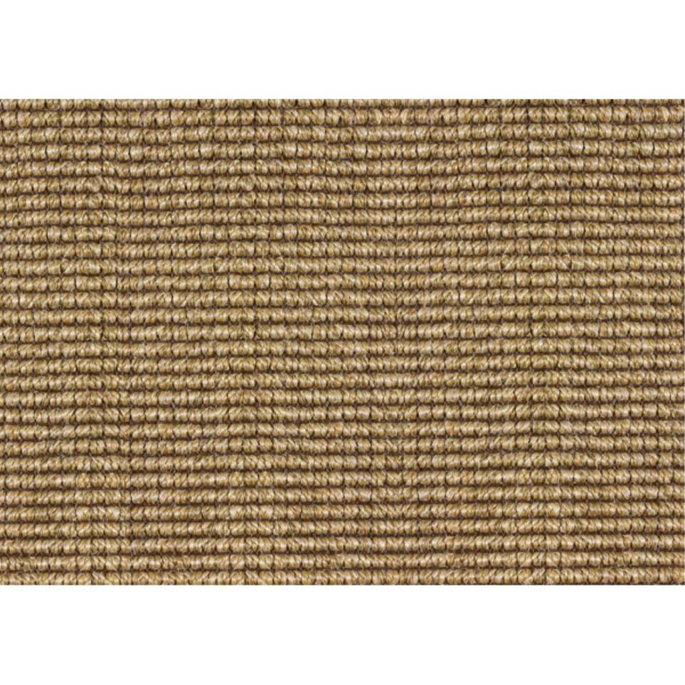 Specialty Tweed Beige/Tan Carpet