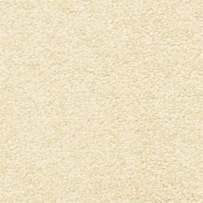 Casual Texture Cork Beige/Tan Carpet