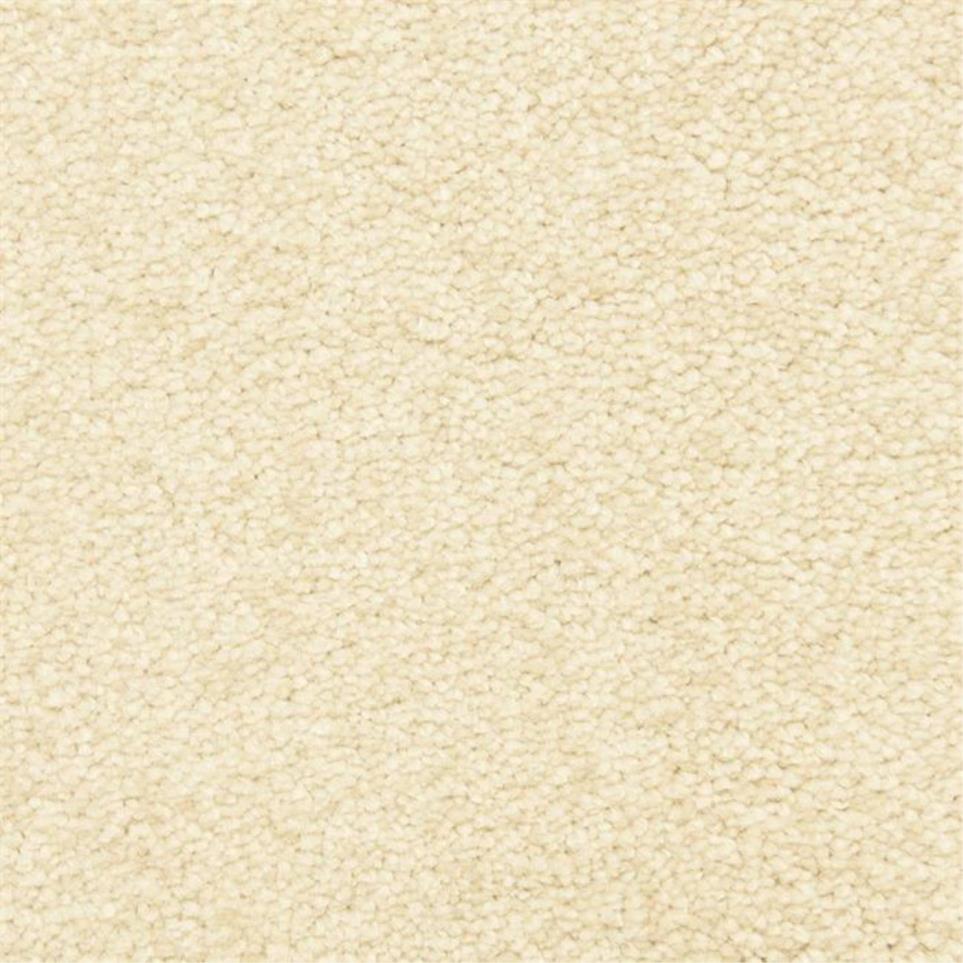 Casual Texture Cork Beige/Tan Carpet