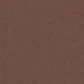 Textured Saxony Mythology Brown Carpet