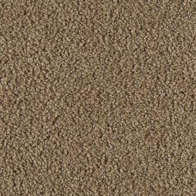 Texture Silken Honey Brown Carpet