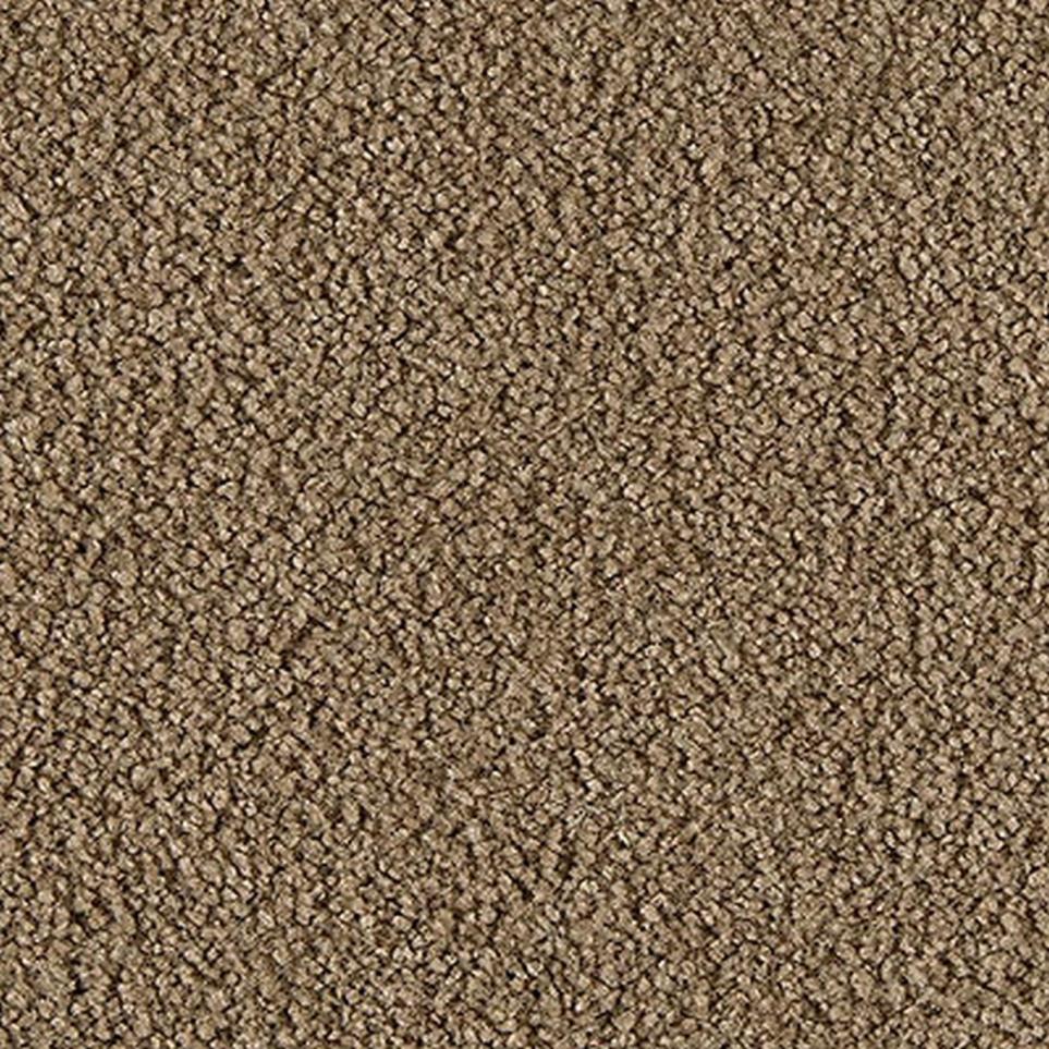 Texture Silken Honey Brown Carpet