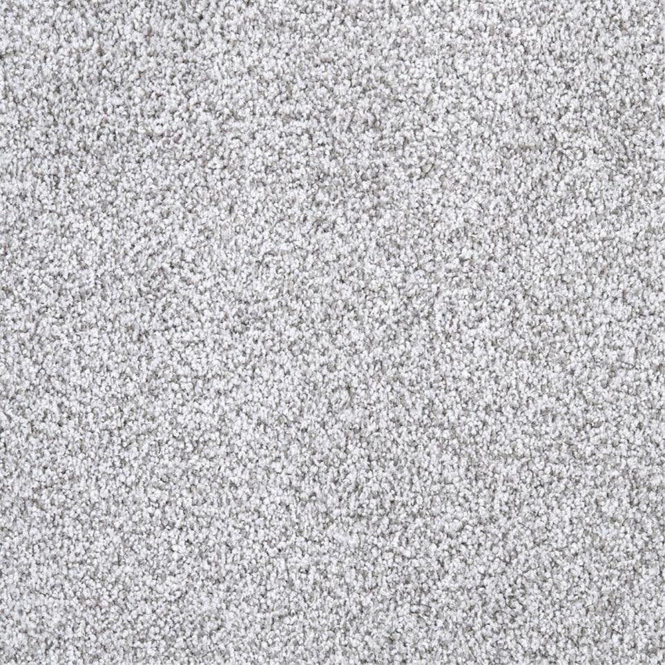 Textured Saxony Pleasing Gray Carpet