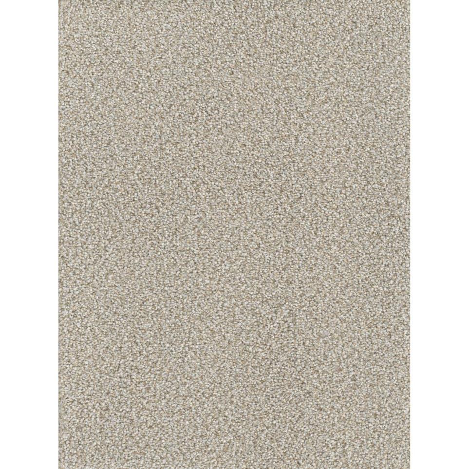 Textured Saxony Great Addition Beige/Tan Carpet