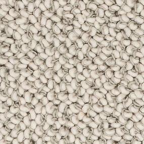 Pattern Greige Gray Carpet