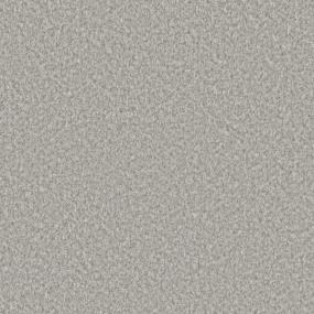 Textured Saxony Versatile Beige/Tan Carpet