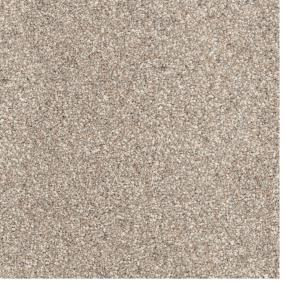 Textured Saxony Canine Beige/Tan Carpet
