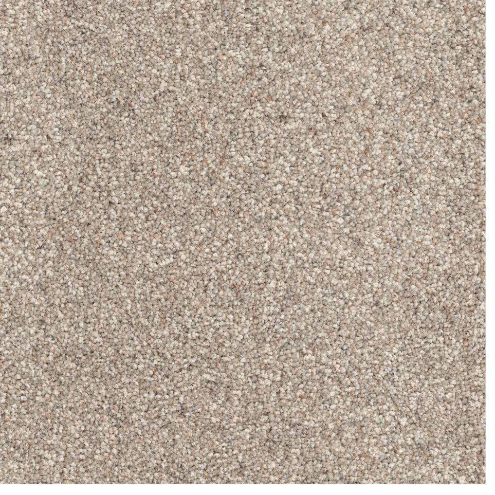 Textured Saxony Canine Beige/Tan Carpet