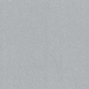 Textured Saxony Cold Winter Gray Carpet