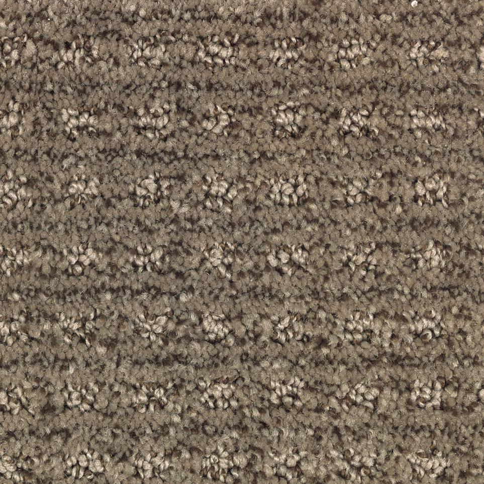 Pattern Mineral Brown Brown Carpet