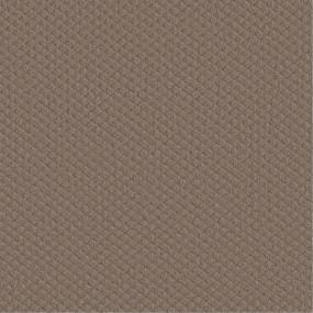 Pattern Cobblestone Brown Carpet
