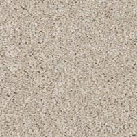 Textured Saxony Westchester White Carpet
