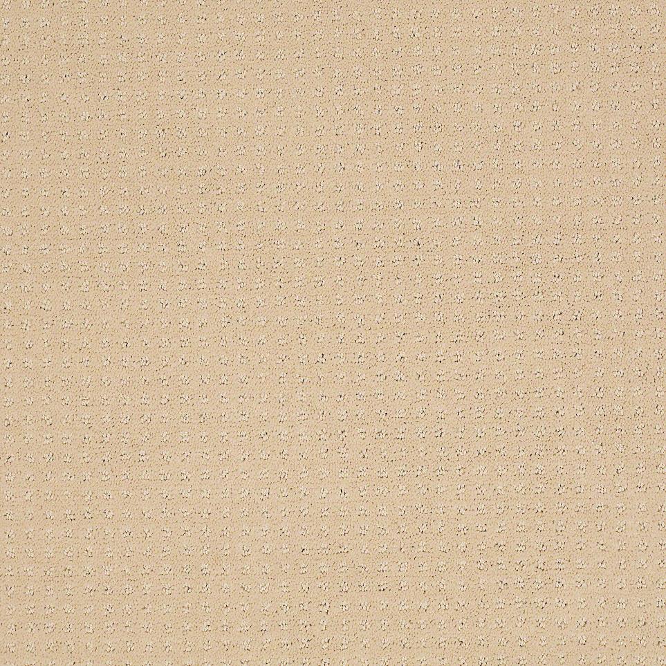 Pattern Cobweb Beige/Tan Carpet