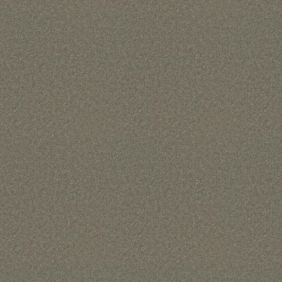 Texture Langley Beige/Tan Carpet