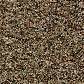 Texture Southern Road Brown Carpet
