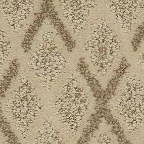 Pattern Canvas Beige/Tan Carpet