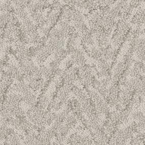 Pattern Believable Buff Beige/Tan Carpet