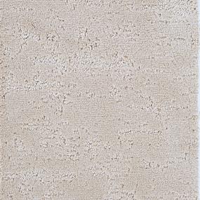 Pattern Holiday Beige/Tan Carpet