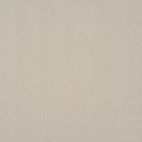 Textured Saxony Water Chestnut Beige/Tan Carpet