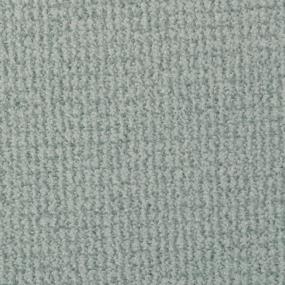 Pattern Clarity Gray Carpet