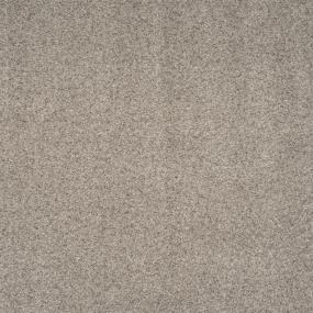 Textured Saxony Grey Tweed Beige/Tan Carpet