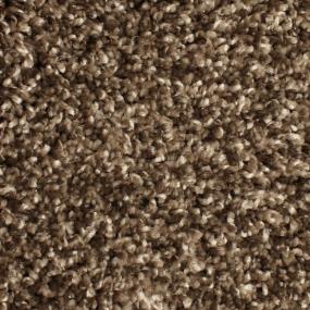 Textured Saxony Character Brown Carpet