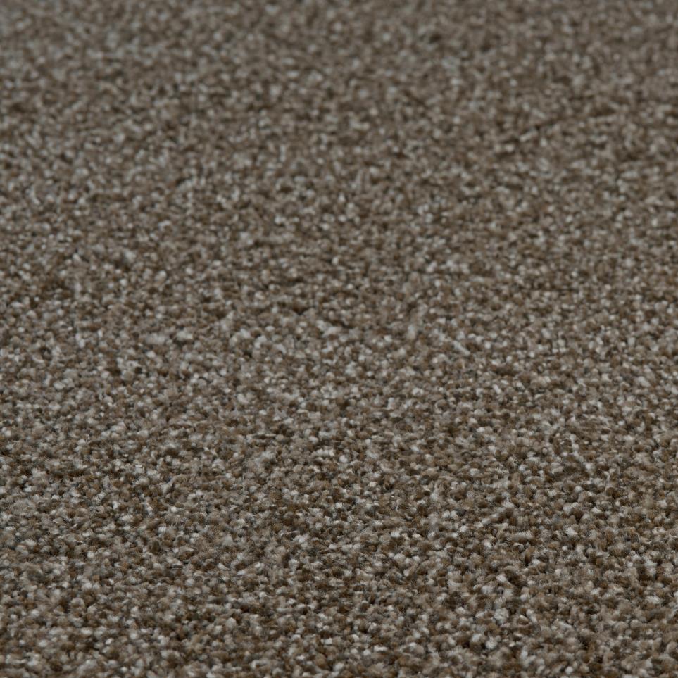 Textured Saxony Character Brown Carpet