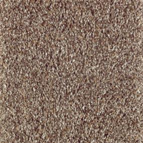 Textured Saxony Voyage Brown Carpet