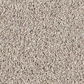 Textured Saxony Suave Brown Carpet