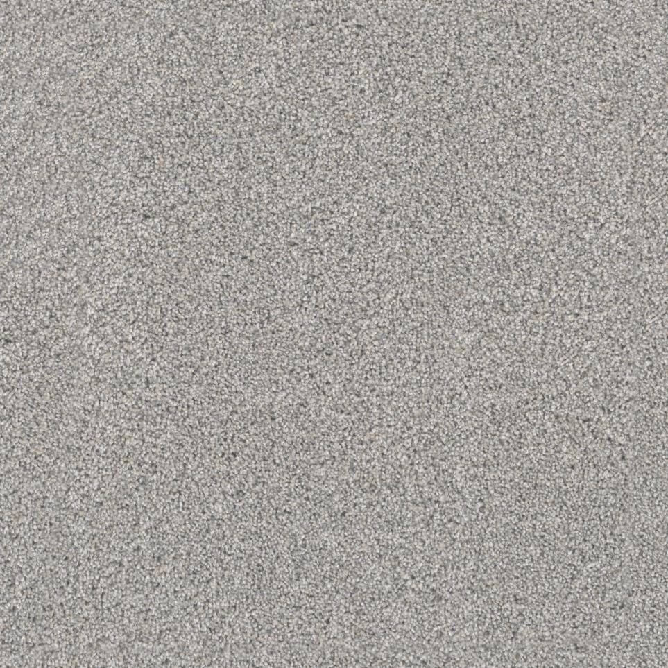 Textured Saxony Vanderbilt Gray Carpet