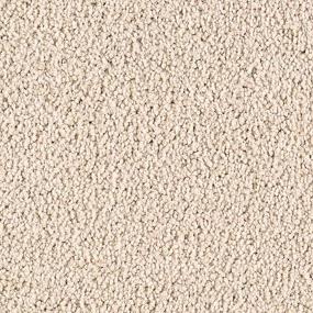 Cut Pile Breathless Beige/Tan Carpet