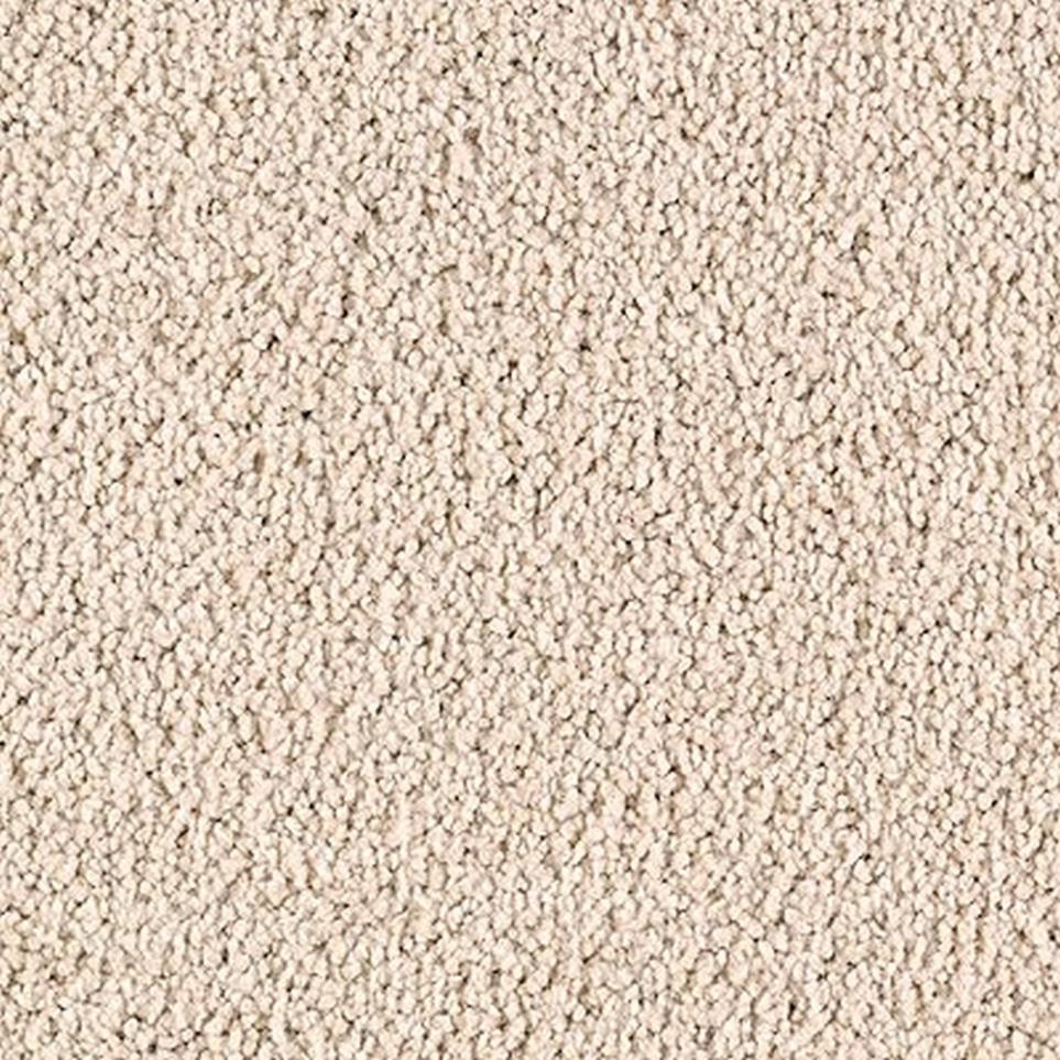 Cut Pile Breathless Beige/Tan Carpet