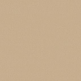 Texture Brilliance Beige/Tan Carpet