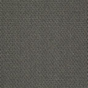 Loop Granite Gray Carpet