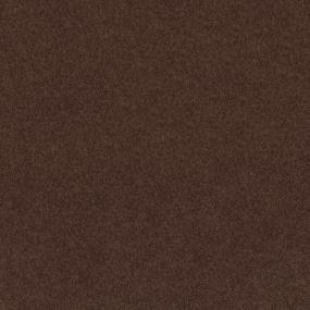 Textured Saxony Fudgesicle Brown Carpet