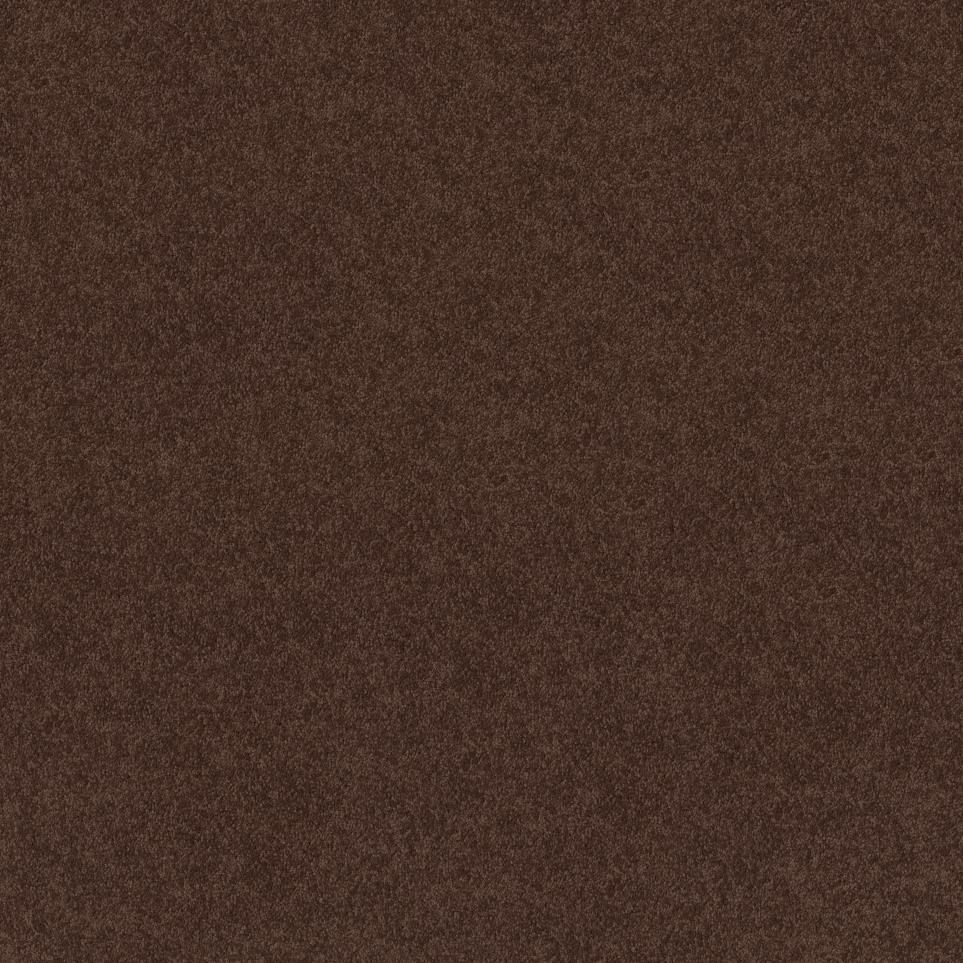 Textured Saxony Fudgesicle Brown Carpet