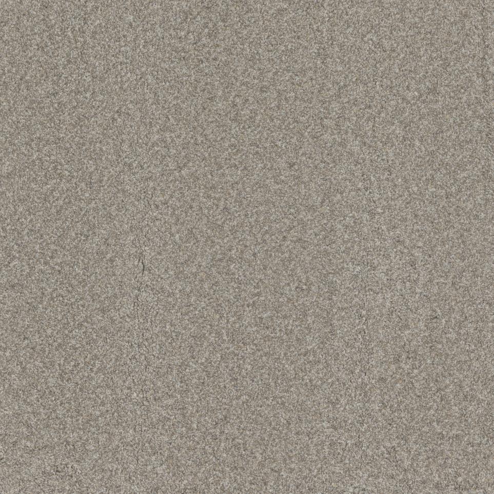 Textured Saxony Flowers Beige/Tan Carpet