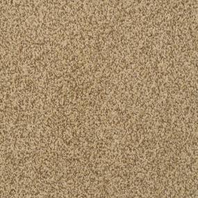 Frieze Monarch Beige/Tan Carpet
