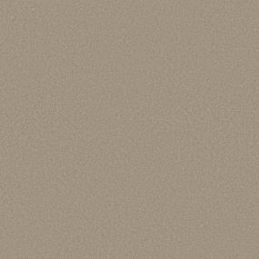 Texture Open Canyon Beige/Tan Carpet