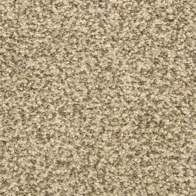 Textured Saxony Grey Scale Beige/Tan Carpet