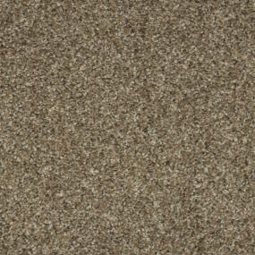 Textured Saxony Dunes Brown Carpet