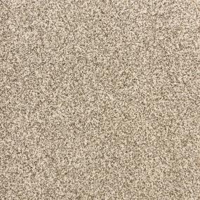 Textured Saxony Pebble Beige/Tan Carpet