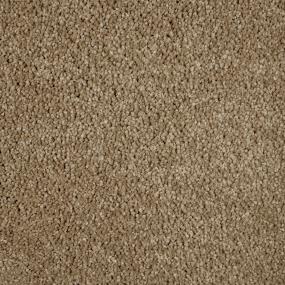 Textured Saxony Basketweave Brown Carpet