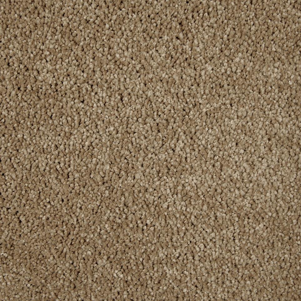 Texture Basketweave Brown Carpet
