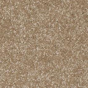 Texture Blissful Brown Carpet