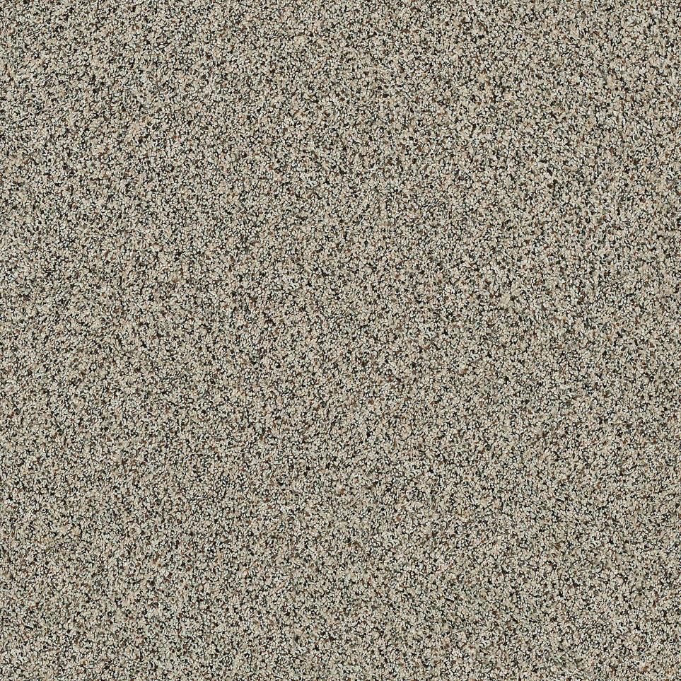 Texture Heirloom  Carpet