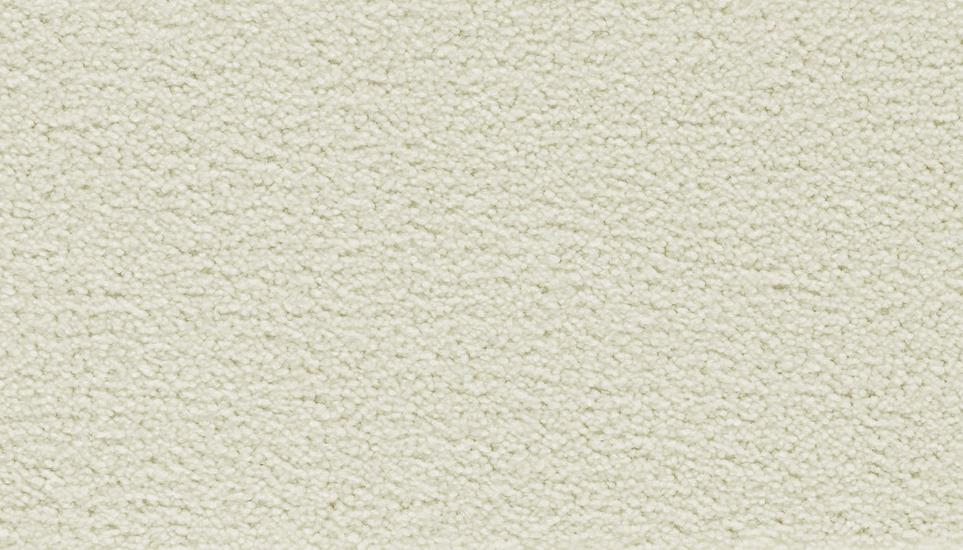 Textured Saxony Creamfield White Carpet
