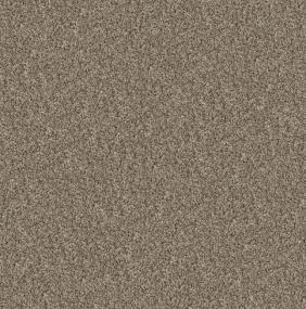Textured Saxony Trade Winds Beige/Tan Carpet