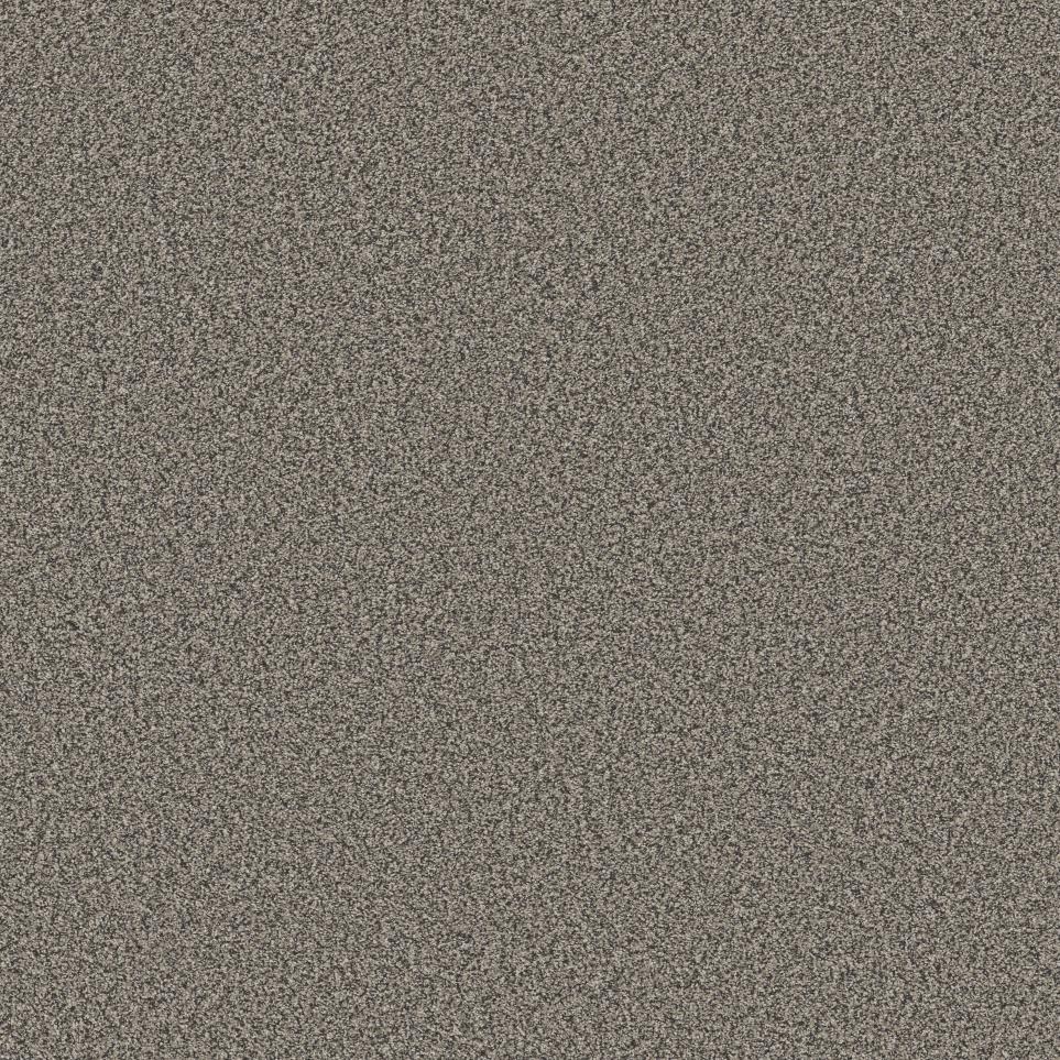 Textured Saxony Briar Patch Beige/Tan Carpet